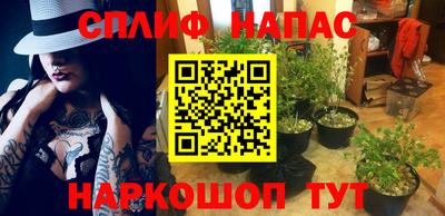 ешки Сланцы