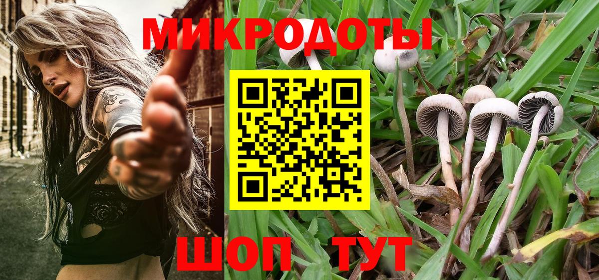Псилоцибиновые грибы ЛСД Майкоп