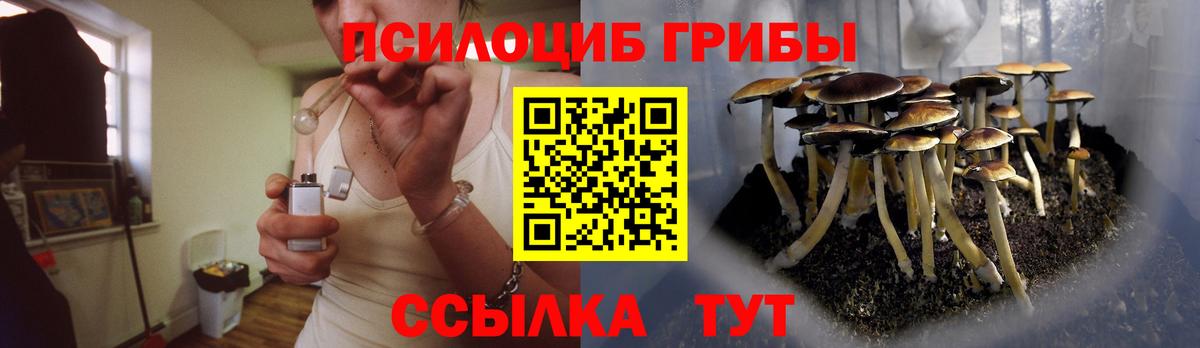 Псилоцибиновые грибы Psilocybe  цены наркотик  Майкоп  Вход с VPN  Псилоцибиновые грибы ЛСД 